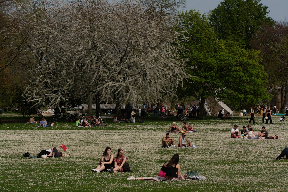 Rheinpark in Köln 