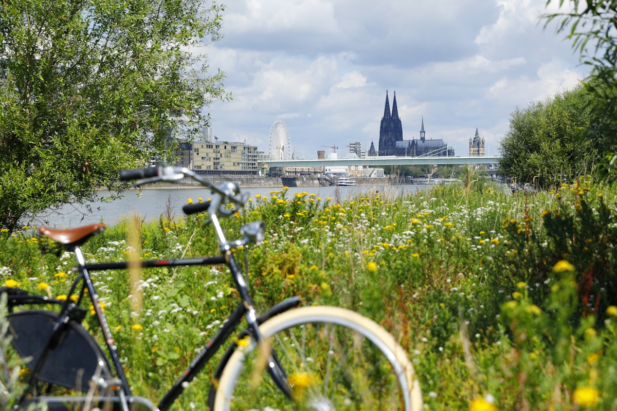 Auf Fahrradtour in Köln 