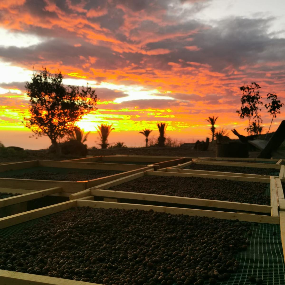 Trockenbette im Sonnenuntergang auf La Gomera