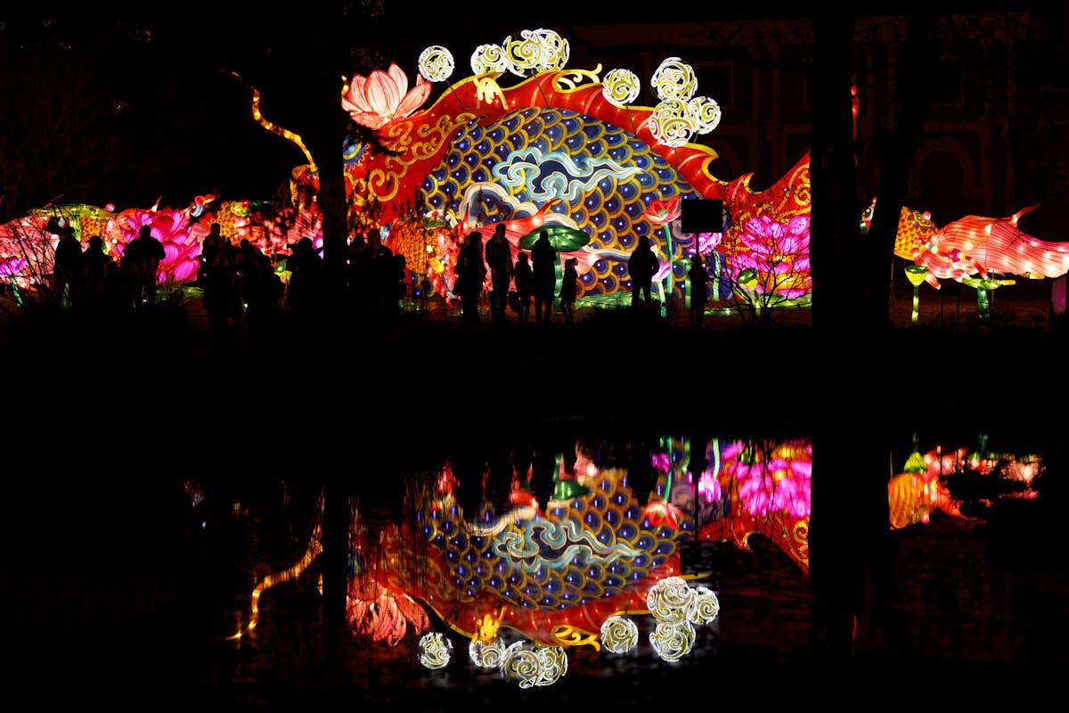 China Light Festival Kölner Zoo