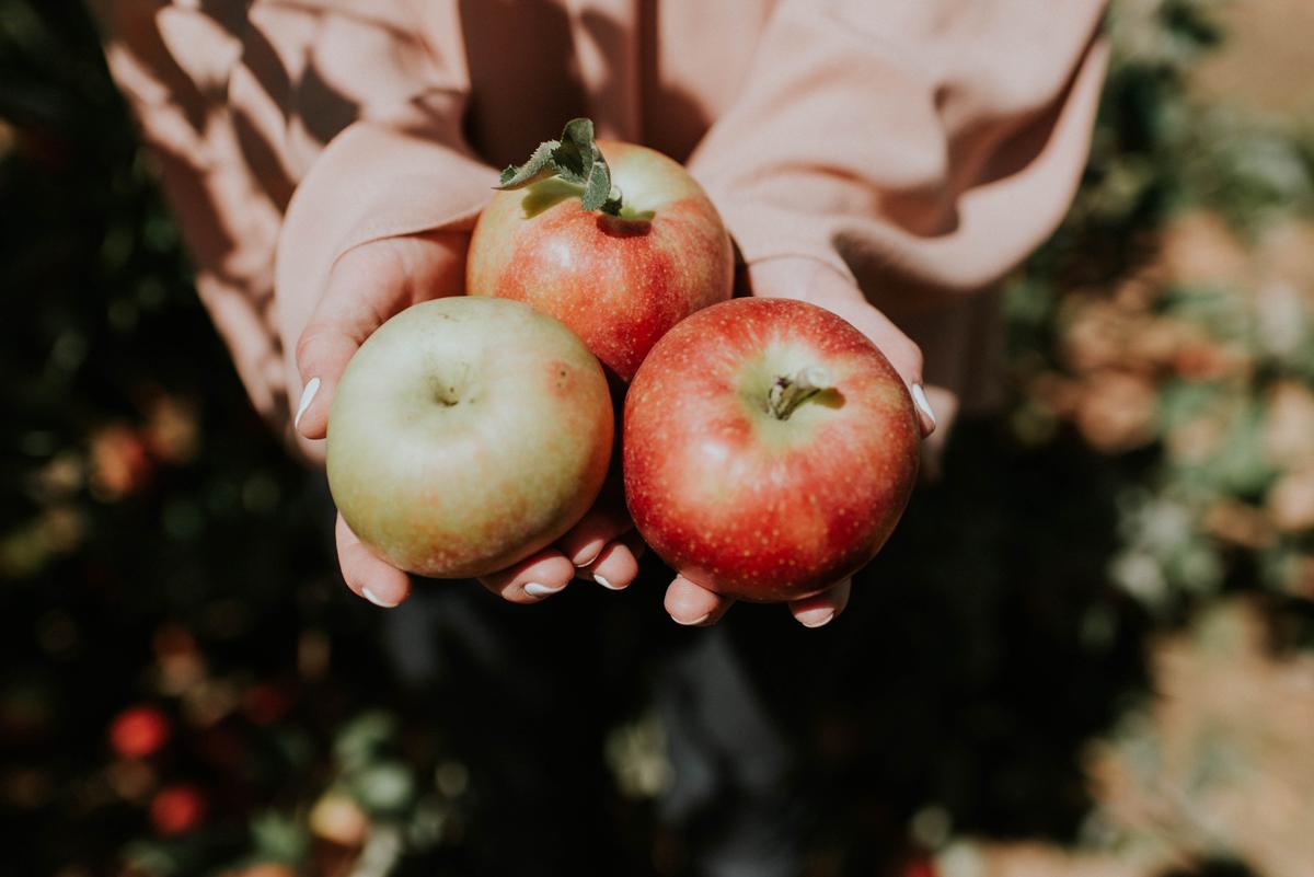 Apfel pflücken