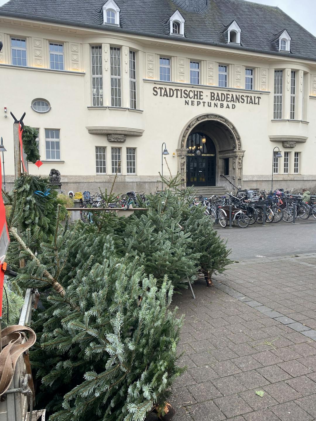 Weihnachtsbaumverkauf am Neptunplatz