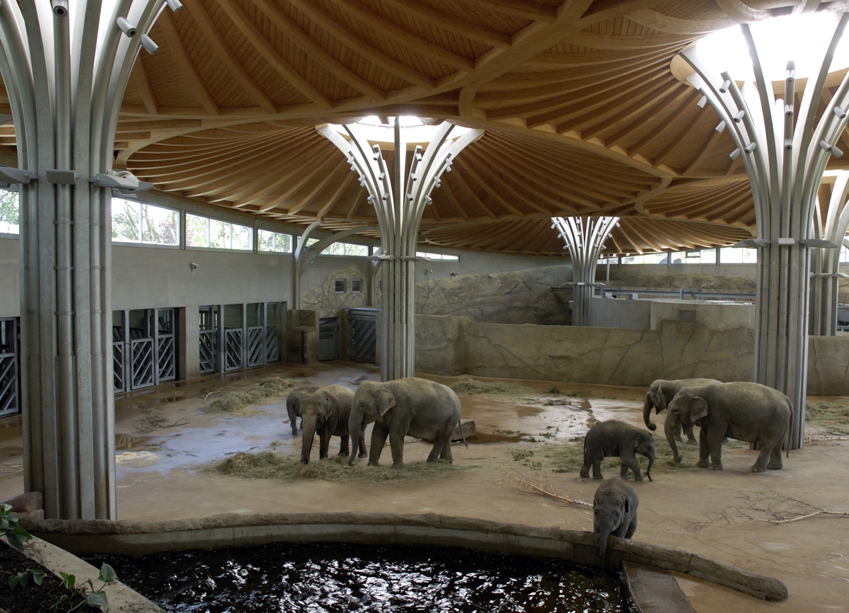 Elefantenpark Kölner Zoo