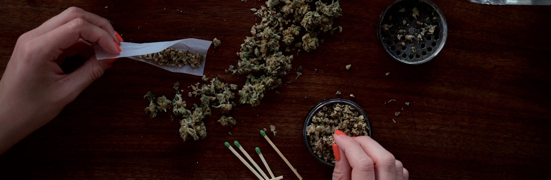 Colonia Cannabis EV über Legalisierung 