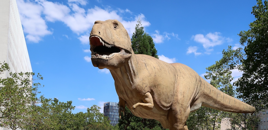 Der Tyrannosaurus Rex steuert Köln-Kalk an 