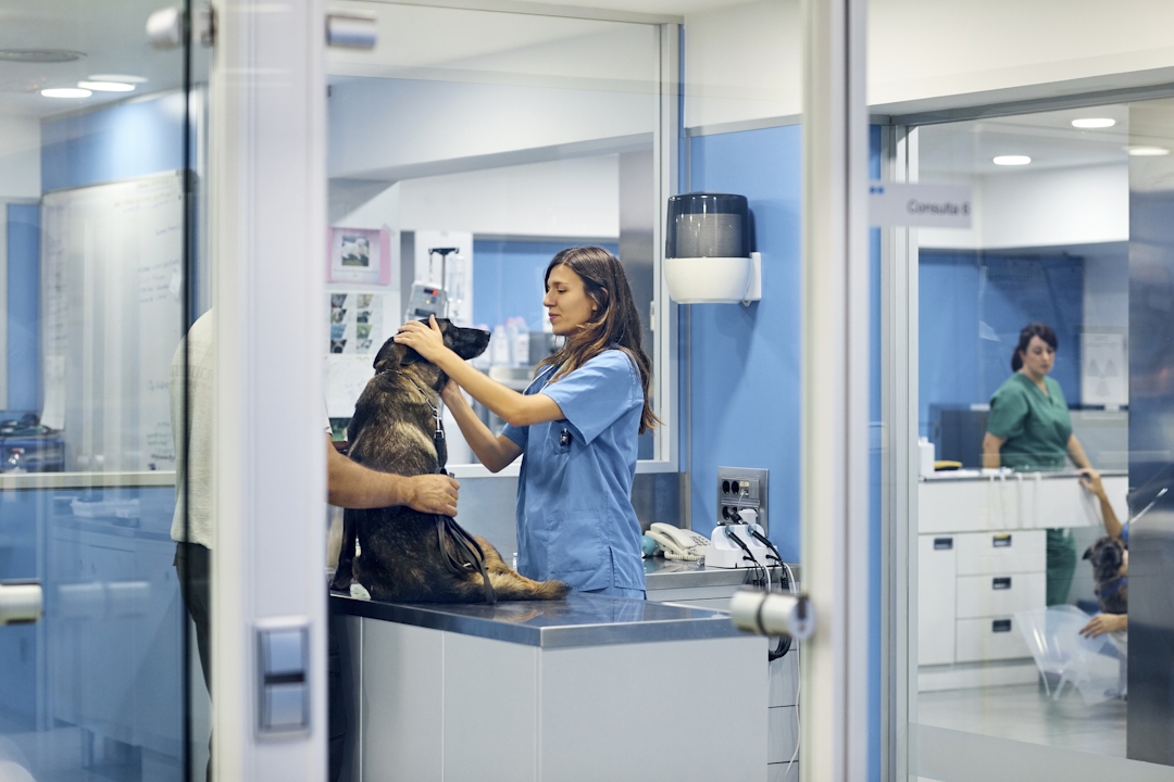 Eine Tierarztpraxis