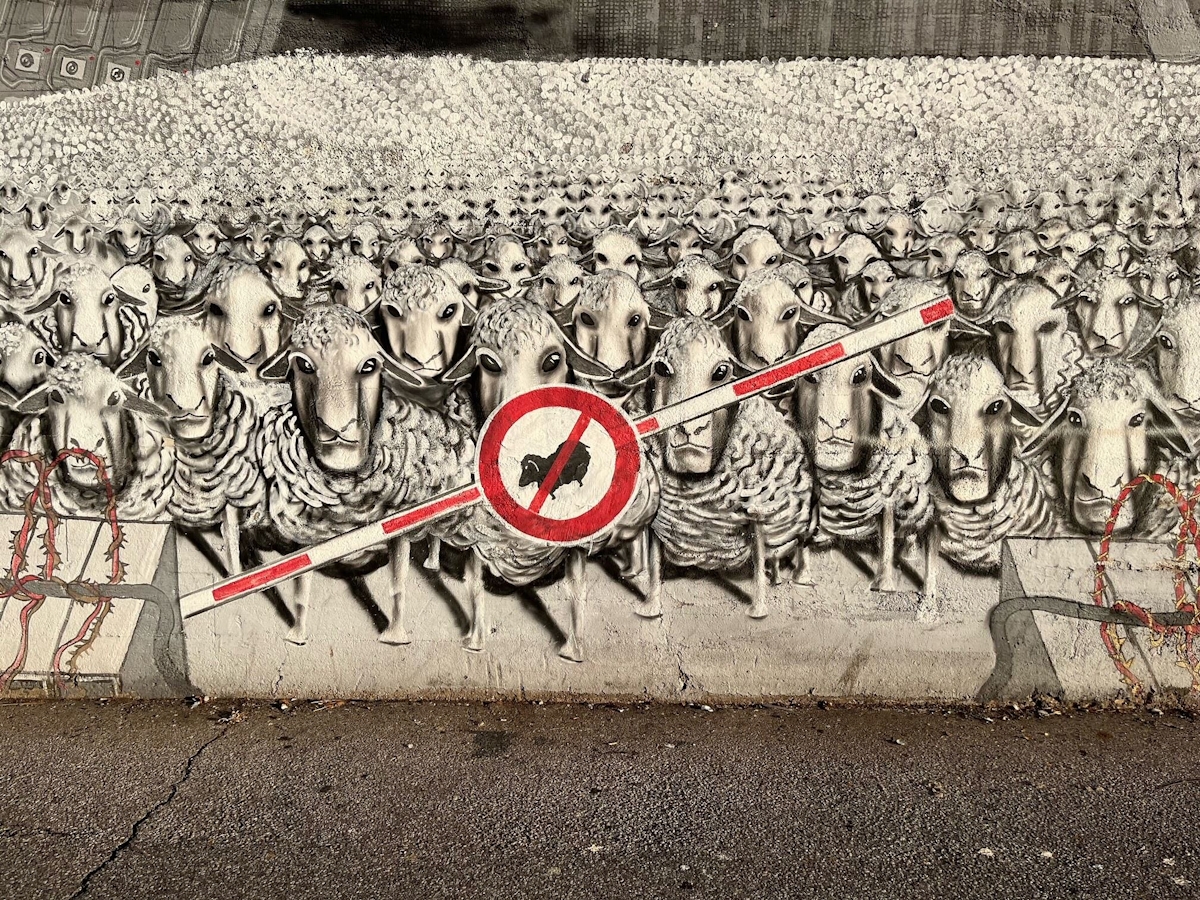 Street Art - Schafe