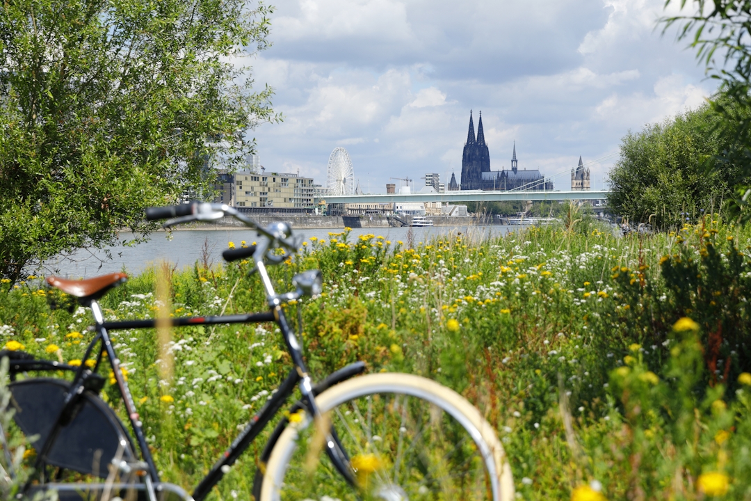 Auf Fahrradtour in Köln 