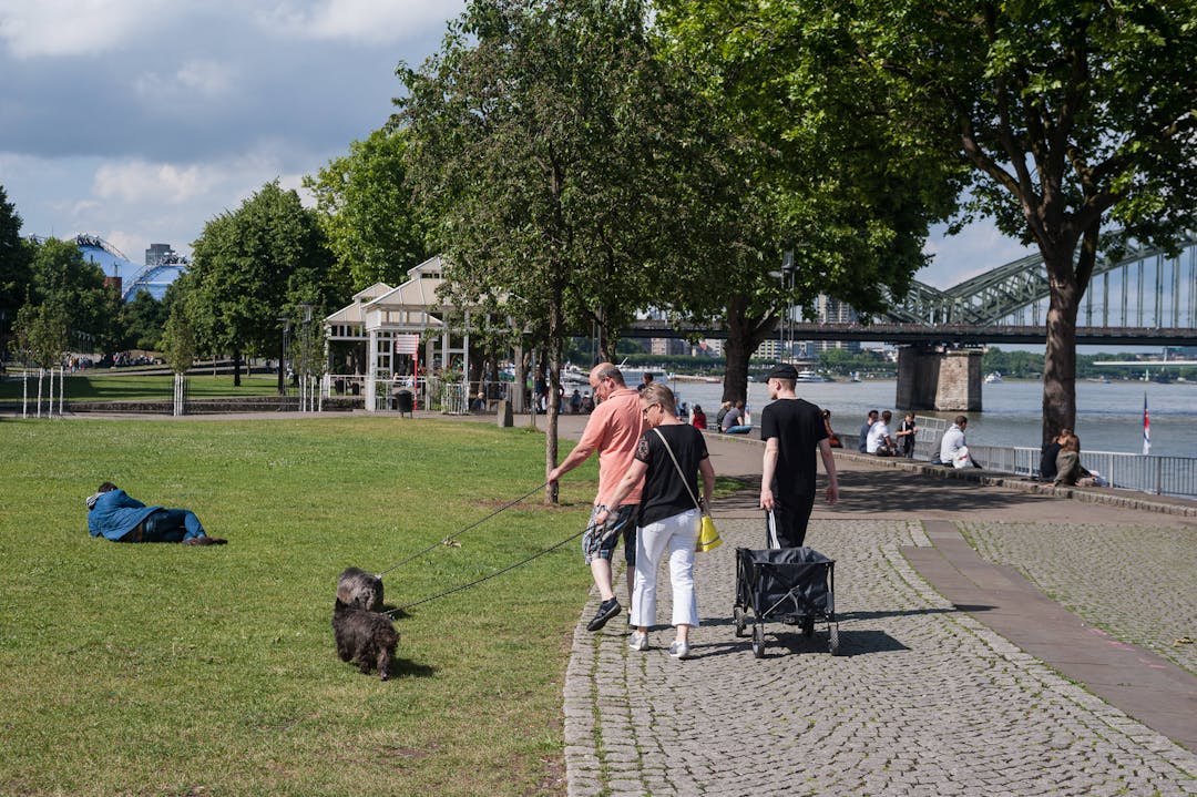 Menschen gehen mit ihren beiden Hunden im Rheingarten am Kölner Rheinufer Gassi.